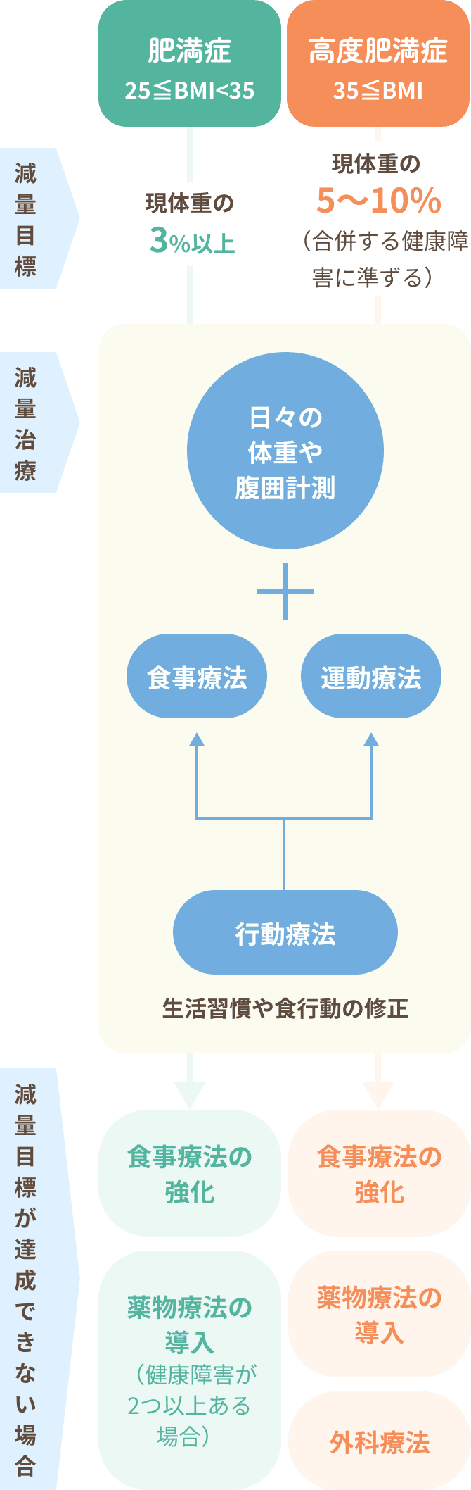 減量目標　肥満症（25≦BMI<35）の場合：現体重の3％以上、高度肥満症（35≦BMI）の場合：現体重の5〜10%（合併する健康障害に準ずる）減量治療　日々の体重や腹囲計測＋食事療法、運動療法（＝行動療法、生活習慣や食行動の修正）減量目標が達成できない場合　食事療法の強化、薬物療法の導入（肥満症：健康障害が2つ以上ある場合）、外科療法（高度肥満症の場合）